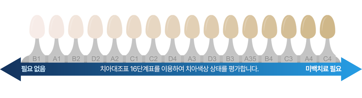 치아대조표 16단계표를 이용하여 치아색상 상태를 평가합니다.